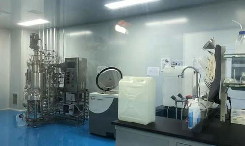 全市觀摩聚焦高新，兩大計算機技術開發項目亮點紛呈